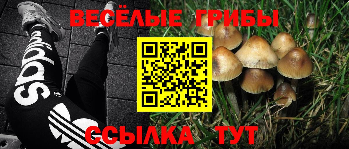 Ирбит  Псилоцибиновые грибы ЛСД  Вход с VPN  Галлюциногенные грибы MAGIC MUSHROOMS 
