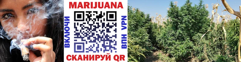 kraken онион  Ирбит  МАРИХУАНА SATIVA & INDICA  магазин продажи  